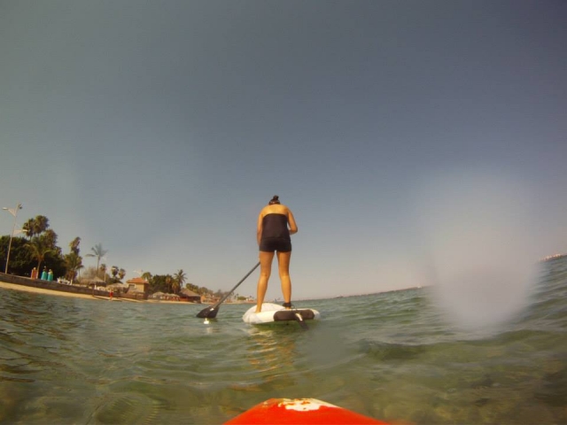 Visitas guiadas en SUP